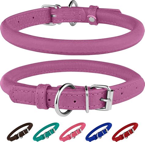 best dog collars on amazon